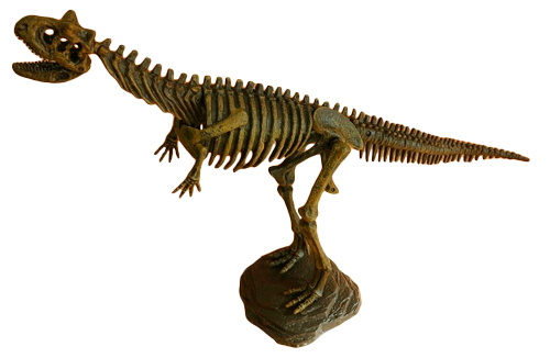 Экспонат скелета динозавра