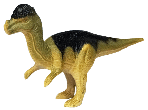 Пахицелозавр