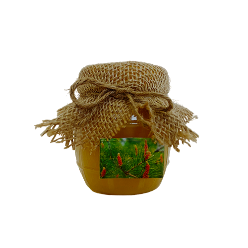Мёд сосновый