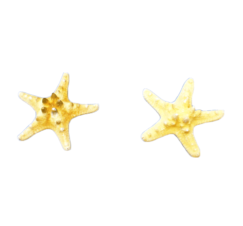 Морские звёзды