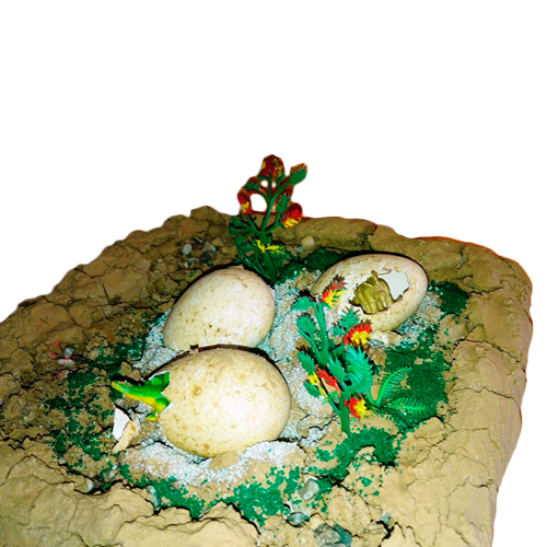 Макет гнезда с детенышем динозавра