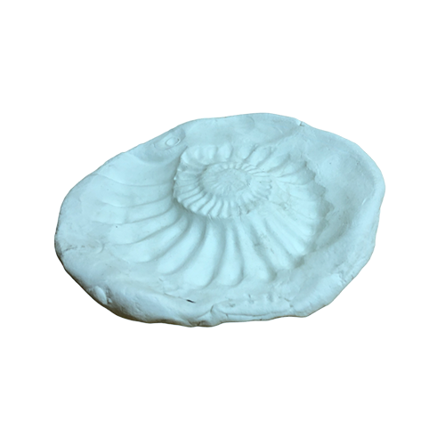 Отпечаток раковины доисторического морского Аммонита