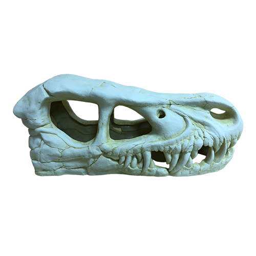 Реплика черепа тираннозавра Тирекс