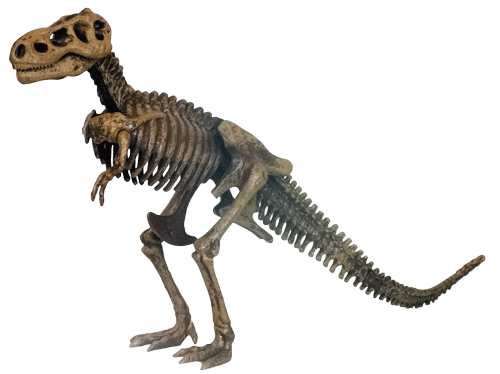 Сборная модель скелета тираннозавра выполненная из пластика