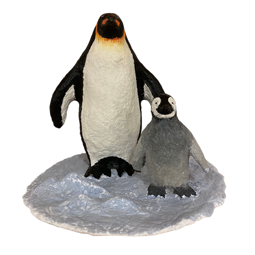 Климатическая зона Антарктика. Пингвин