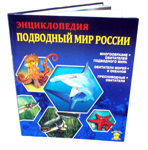 Книга «Подводный мир России»