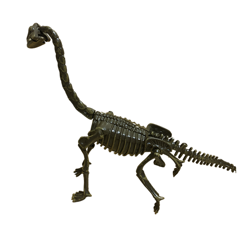 Модель скелета динозавра Диплодока